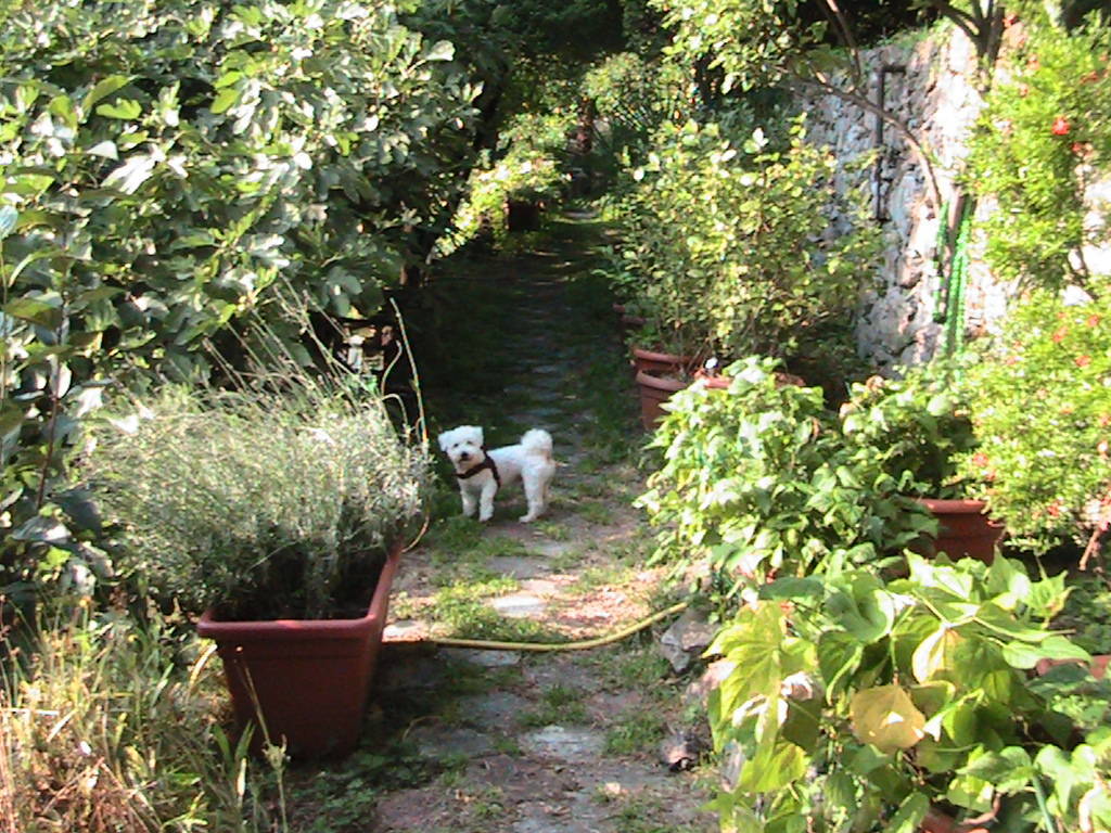 IMG_8647 (FILEminimizer)