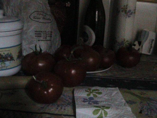 IMG_8649 (FILEminimizer)