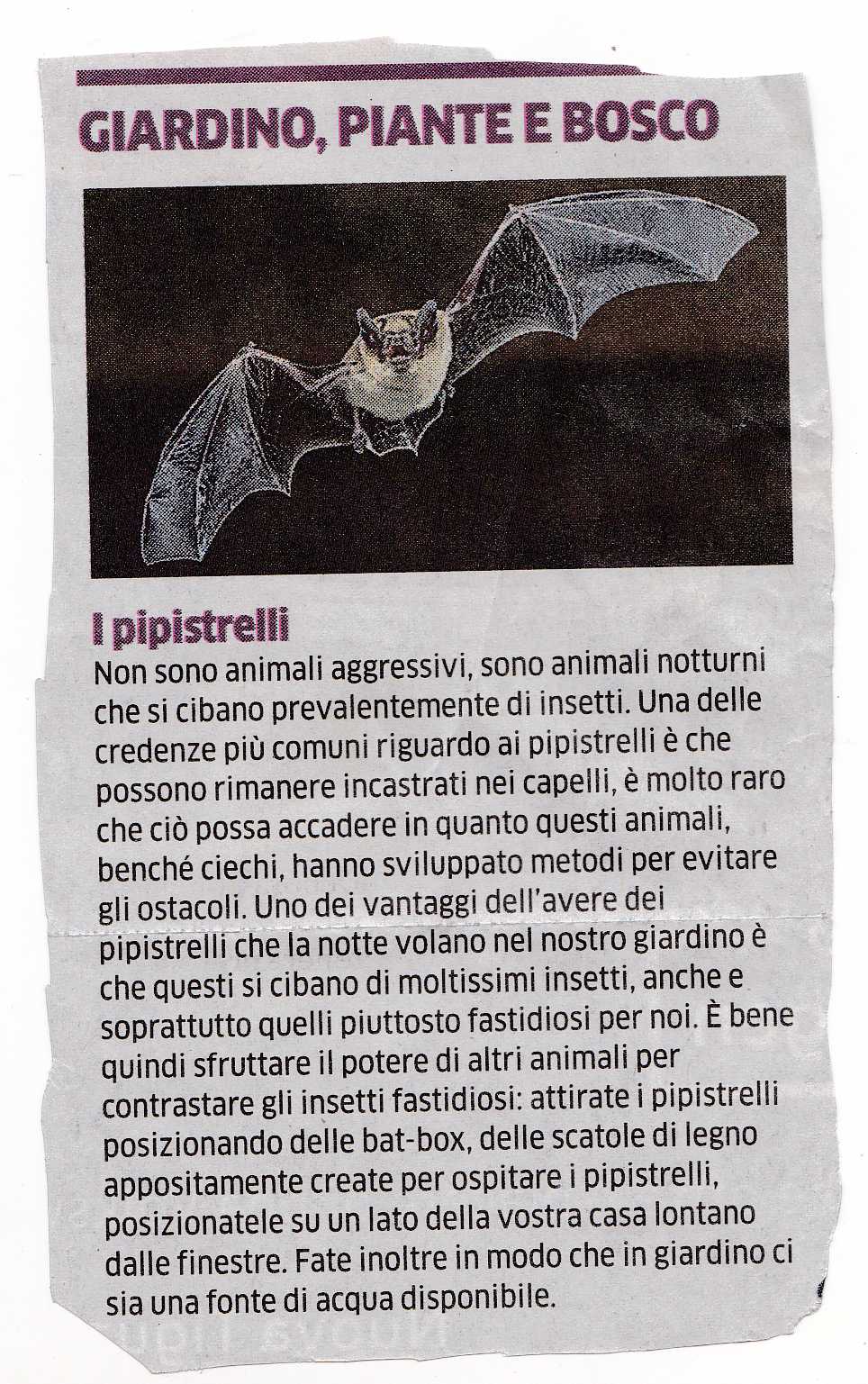 orto3315
