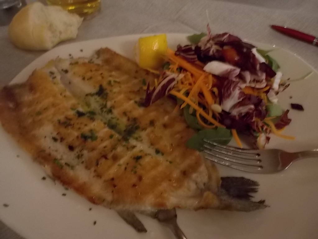 DSCN0745 (FILEminimizer)