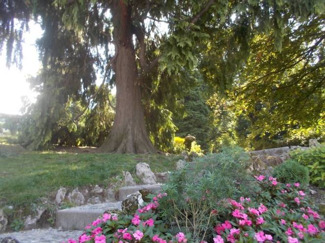 DSCN0753 (FILEminimizer)