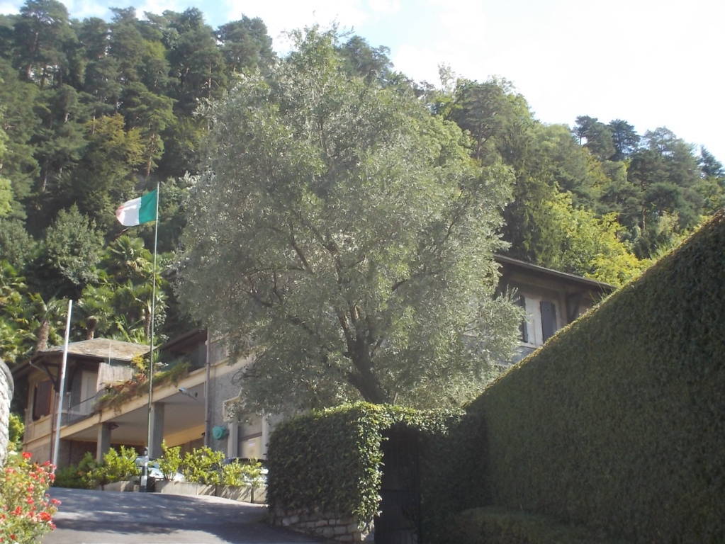 DSCN0761 (FILEminimizer)