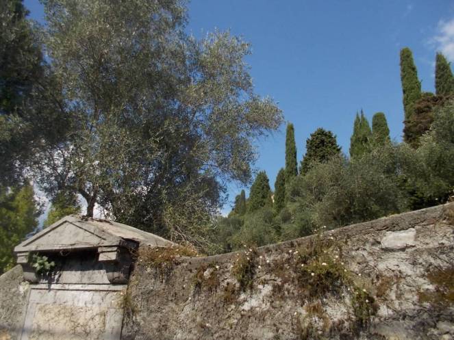 DSCN0781 (FILEminimizer)