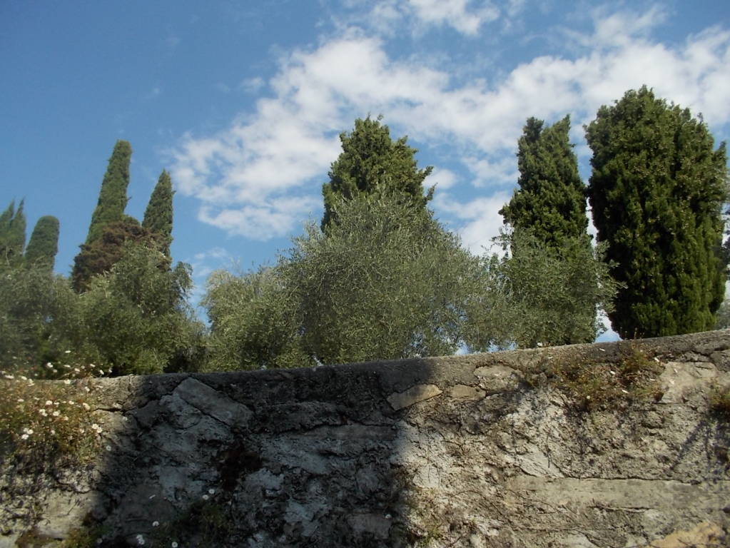 DSCN0782 (FILEminimizer)