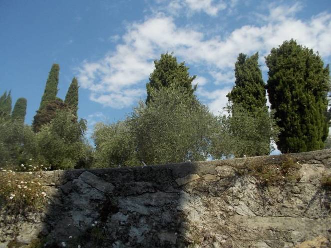 DSCN0782 (FILEminimizer)