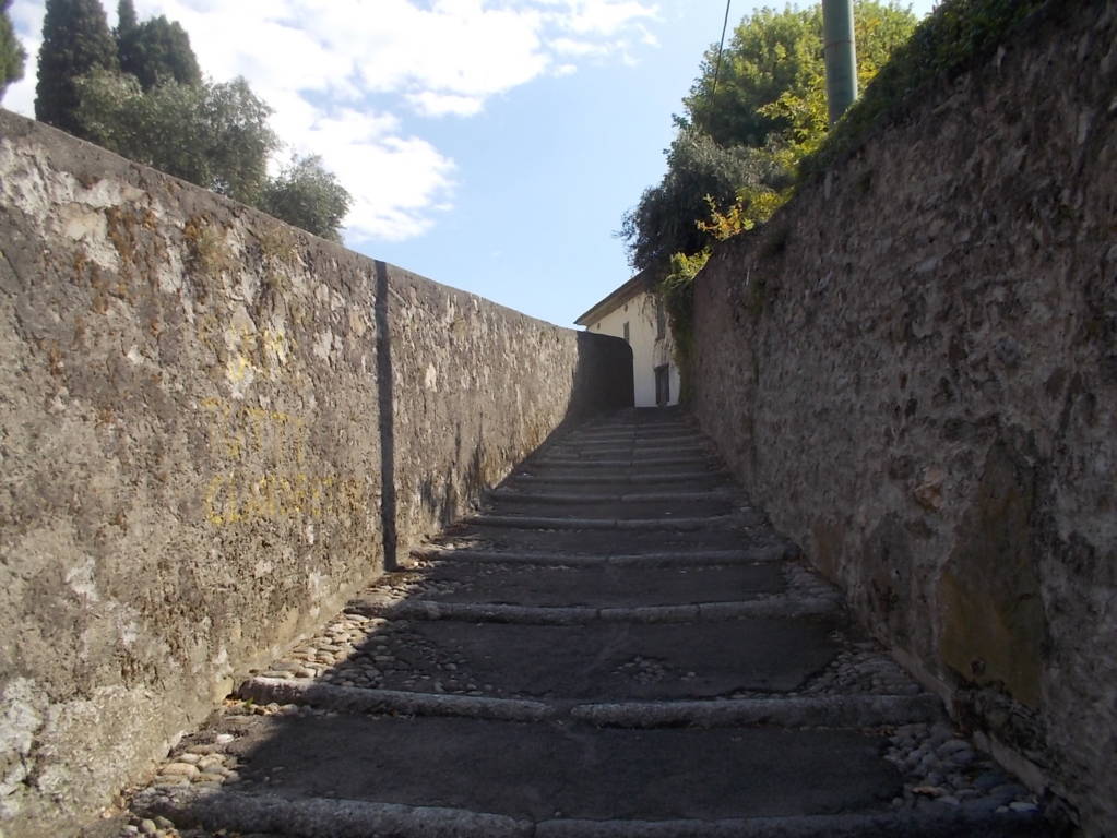 DSCN0784 (FILEminimizer)