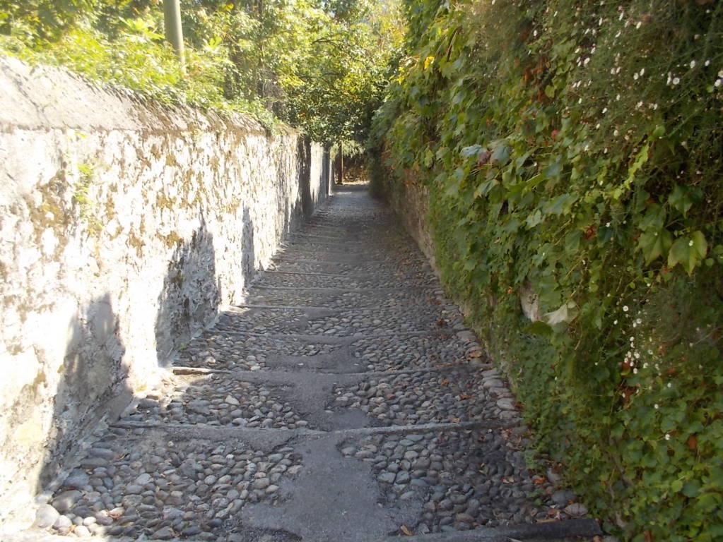 DSCN0785 (FILEminimizer)