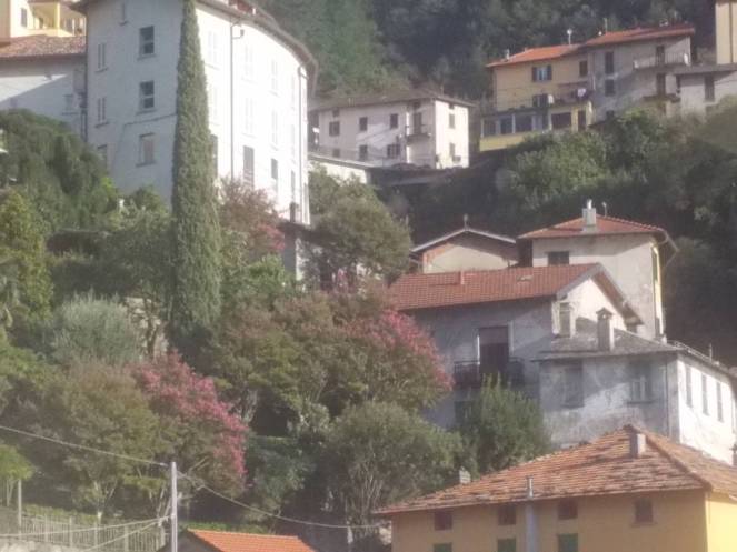 DSCN0832 (FILEminimizer)