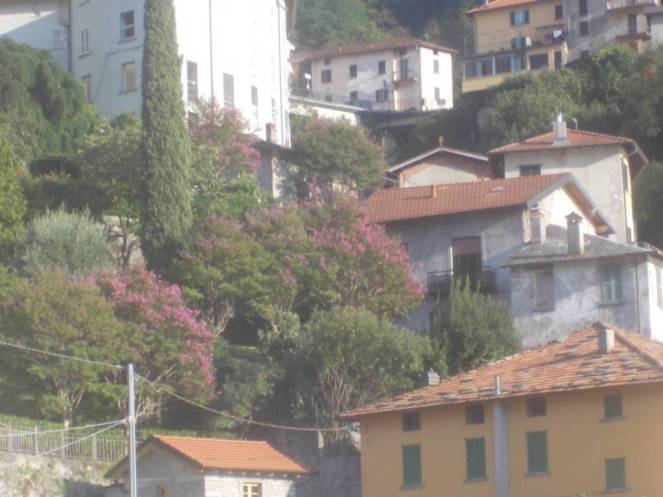 DSCN0833 (FILEminimizer)