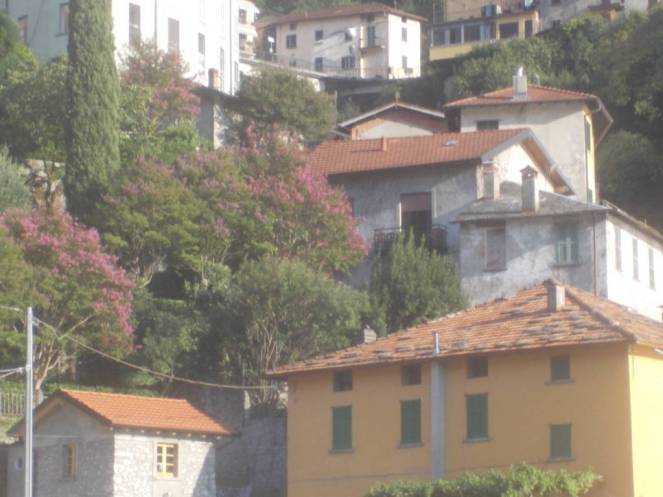 DSCN0834 (FILEminimizer)