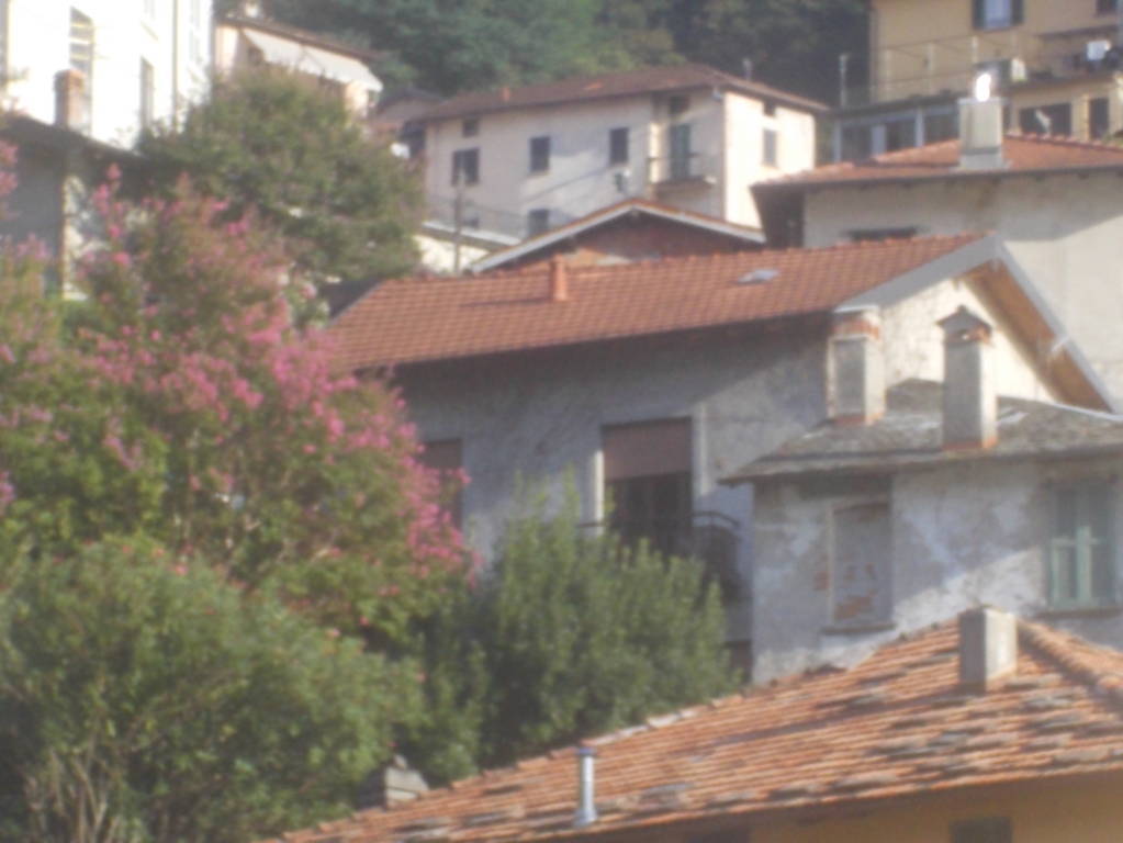 DSCN0835 (FILEminimizer)