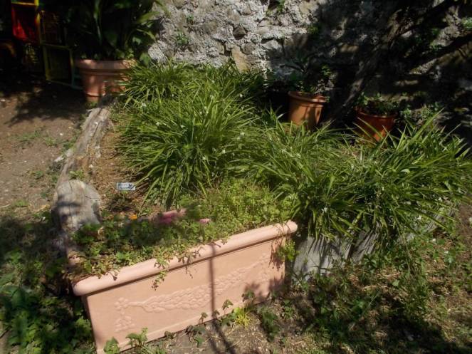 DSCN0842 (FILEminimizer)