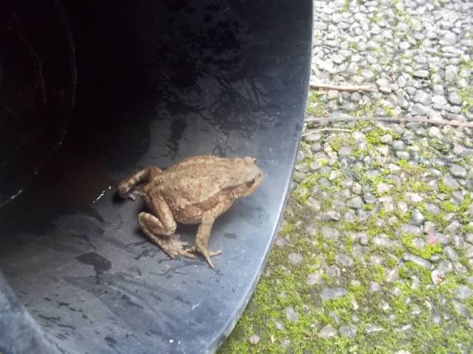 DSCN0852 (FILEminimizer)