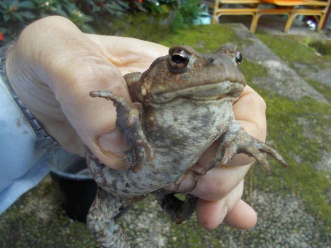 DSCN0854 (FILEminimizer)