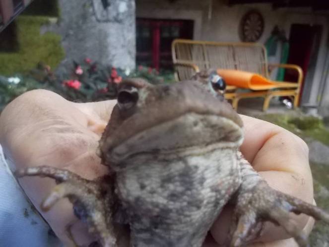 DSCN0855 (FILEminimizer)