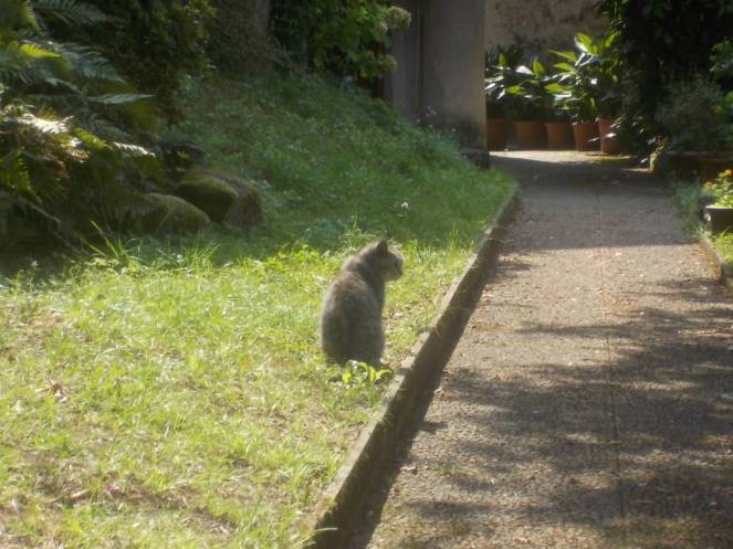 DSCN0856 (FILEminimizer)