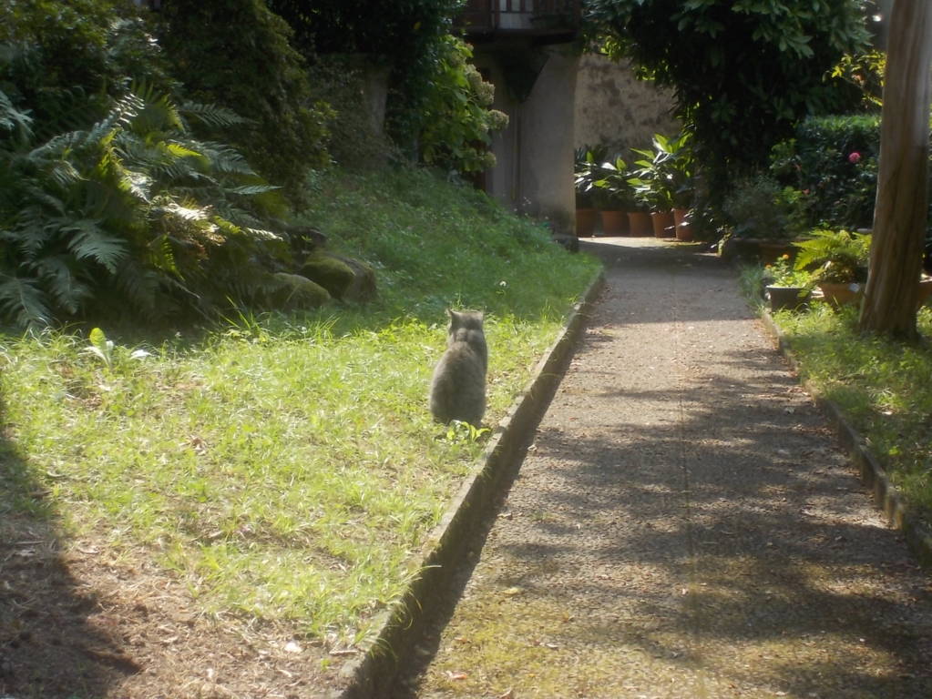 DSCN0858 (FILEminimizer)