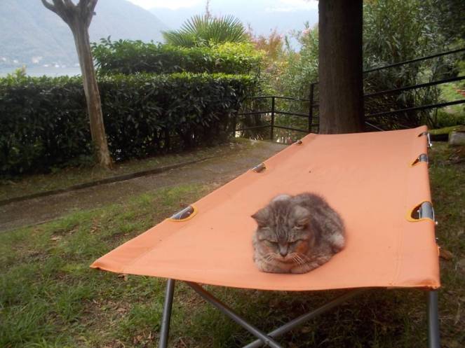 DSCN0860 (FILEminimizer)