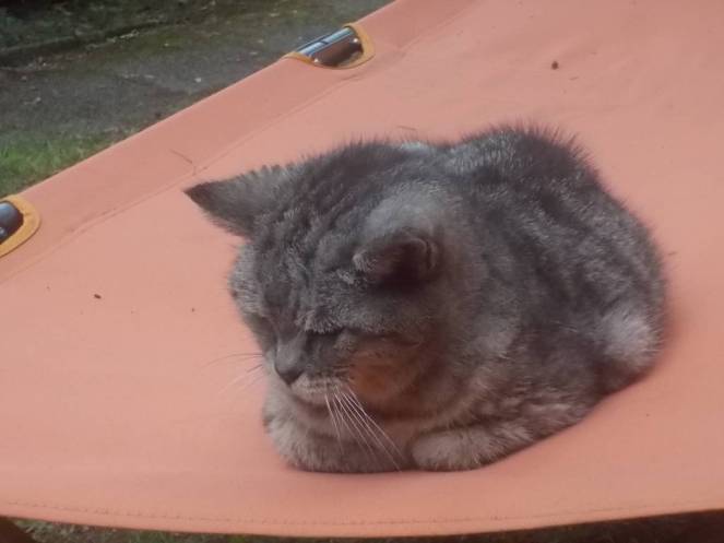 DSCN0861 (FILEminimizer)