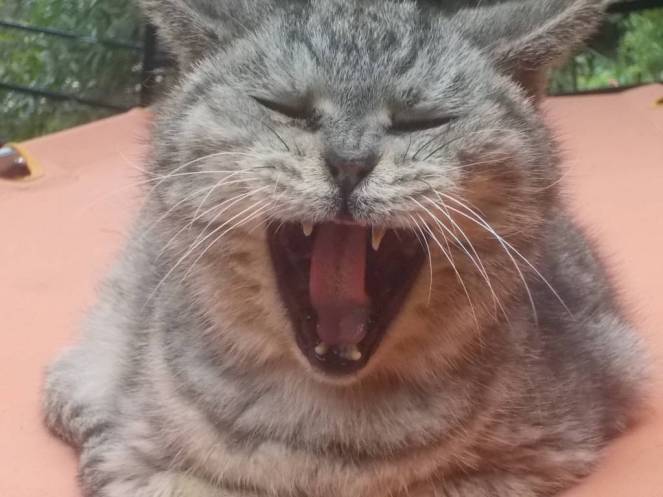 DSCN0862 (FILEminimizer)