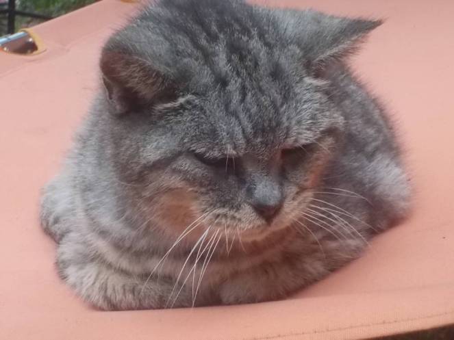 DSCN0864 (FILEminimizer)