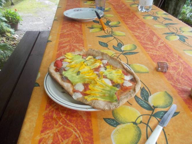 DSCN0870 (FILEminimizer)