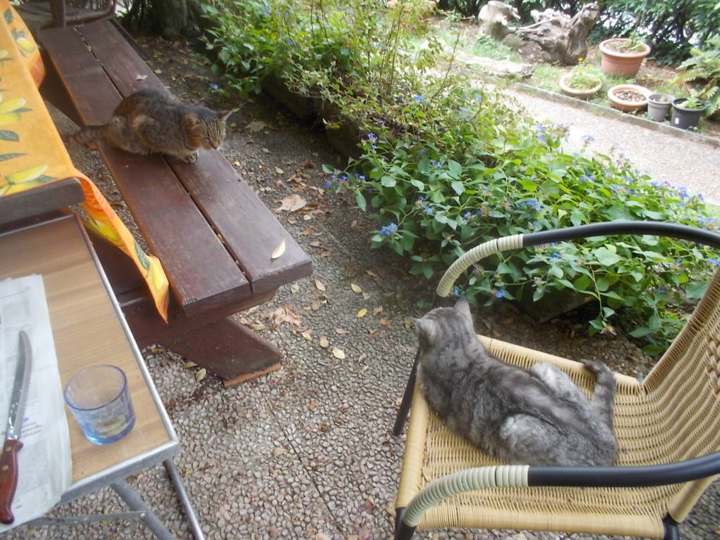 DSCN0872 (FILEminimizer)