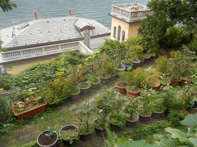 DSCN0874 (FILEminimizer)