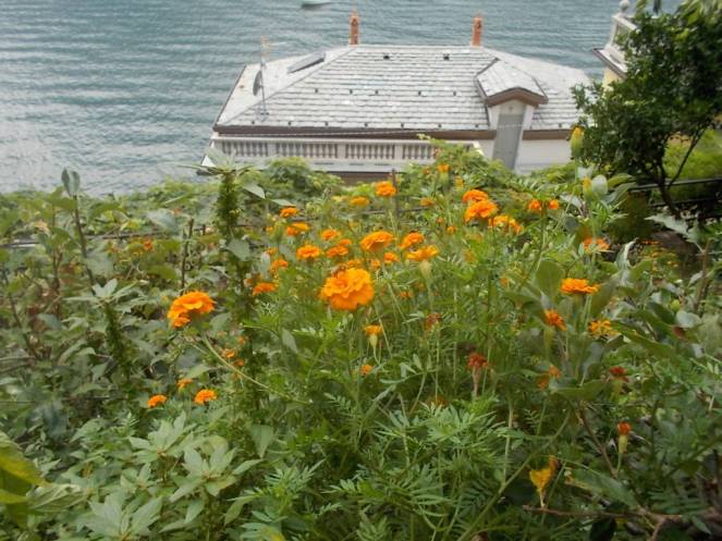 DSCN0876 (FILEminimizer)