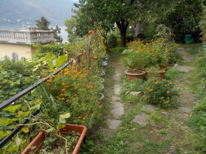 DSCN0877 (FILEminimizer)