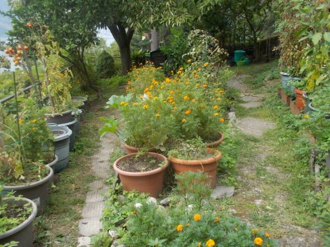 DSCN0880 (FILEminimizer)