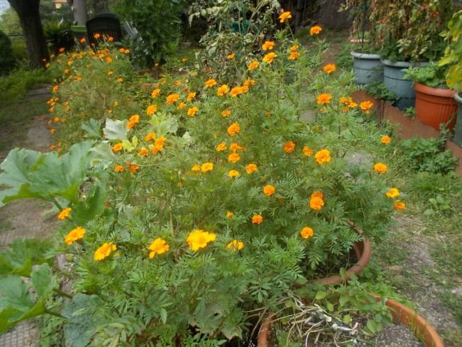 DSCN0881 (FILEminimizer)