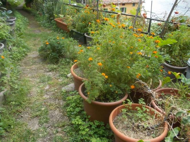 DSCN0887 (FILEminimizer)