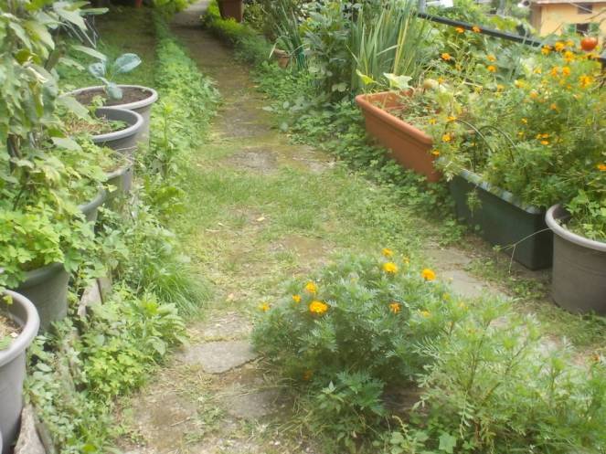 DSCN0889 (FILEminimizer)