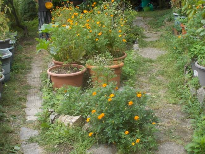 DSCN0890 (FILEminimizer)