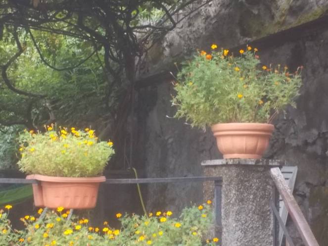 DSCN0894 (FILEminimizer)