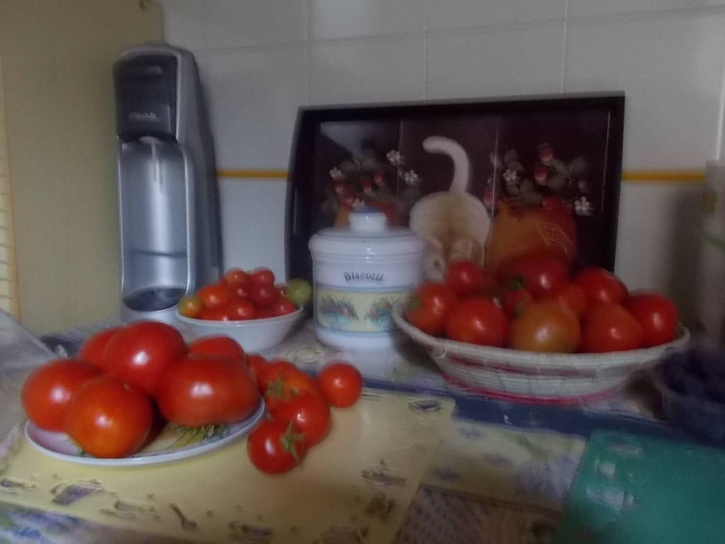 DSCN0896 (FILEminimizer)