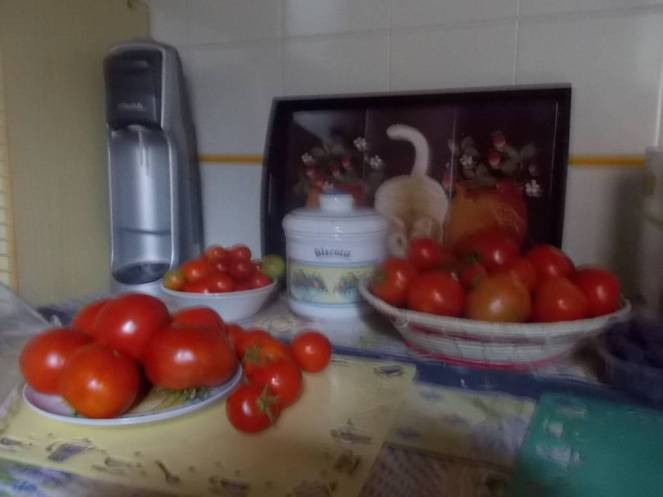 DSCN0896 (FILEminimizer)