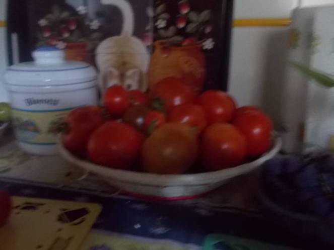 DSCN0897 (FILEminimizer)