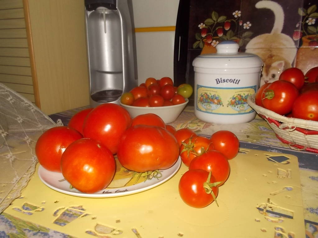 DSCN0898 (FILEminimizer)