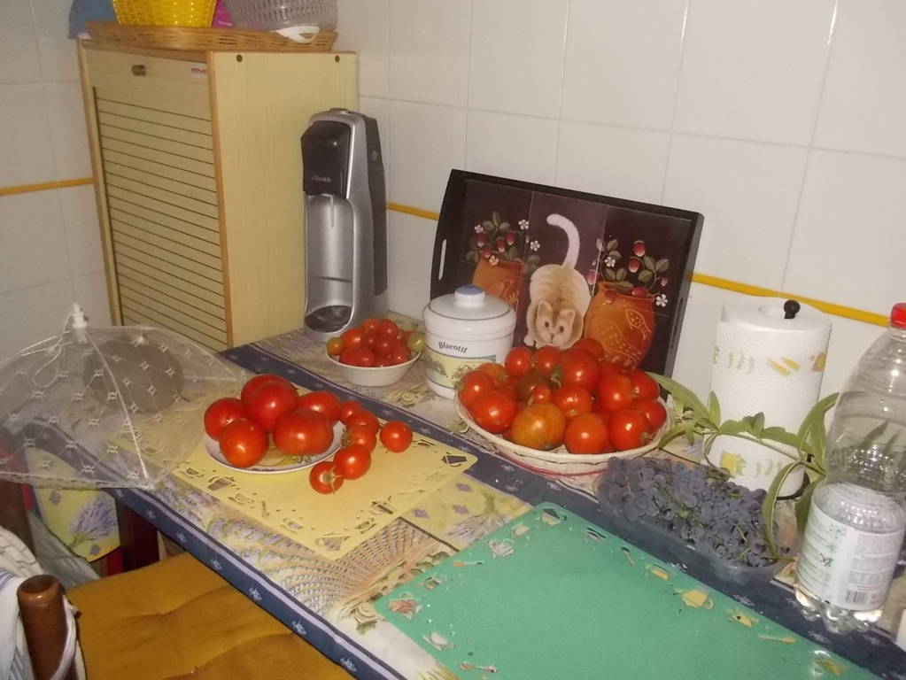 DSCN0899 (FILEminimizer)