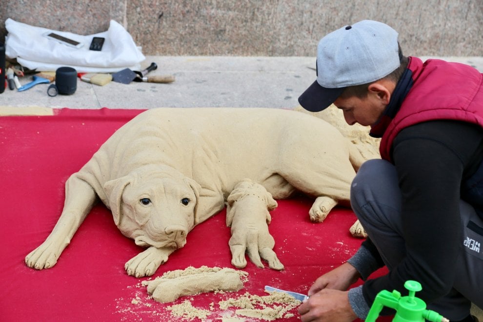 175017085-b2832374-2d55-4530-8eaa-3126036a2310