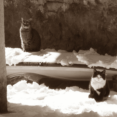 5237589168_4c0140d6ba