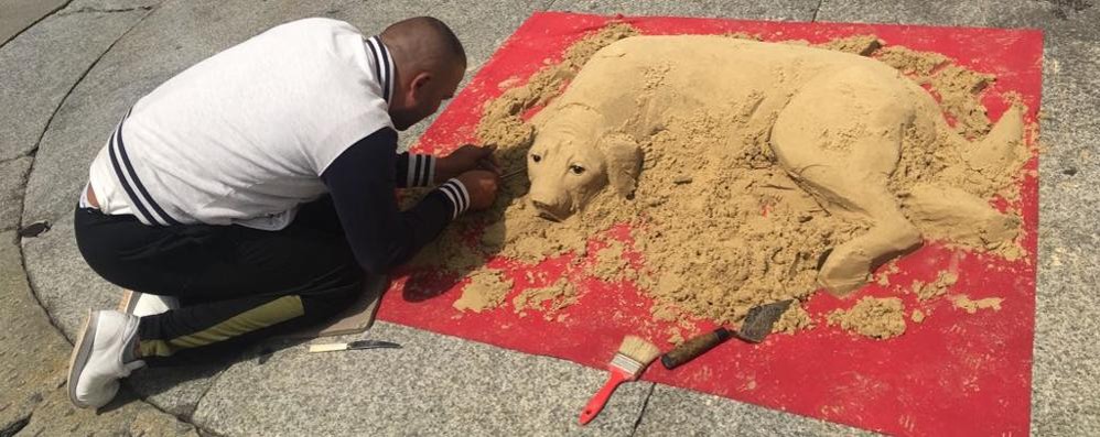como-nuovi-artisti-di-strada-cane-di-sabbia-in-piazza-duomo_4a8c2e64-5c50-11e8-9d9f-abb04a68464d_998_397_big_story_detail