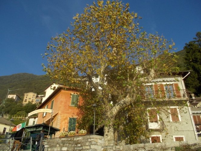 DSCN0920 (FILEminimizer)