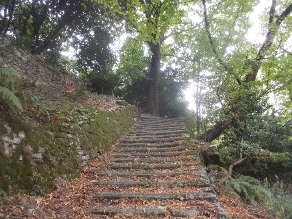 DSCN0923 (FILEminimizer)