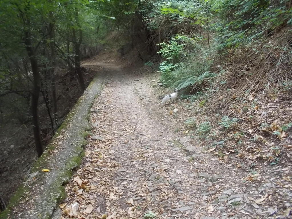 DSCN0925 (FILEminimizer)