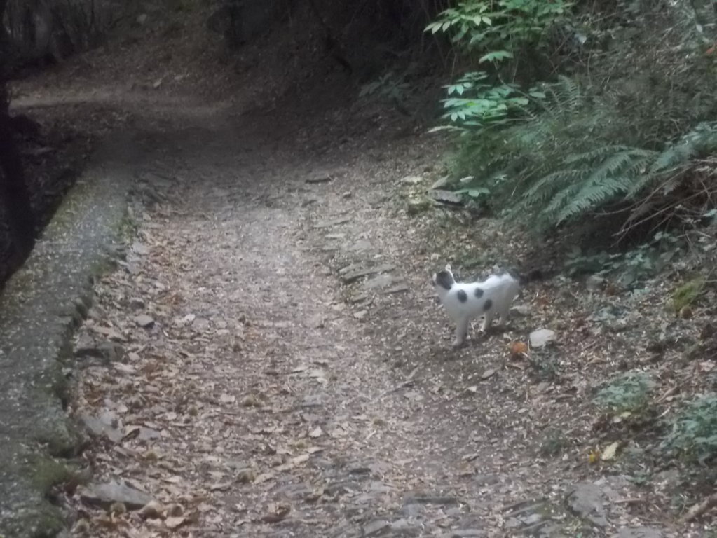 DSCN0926 (FILEminimizer)