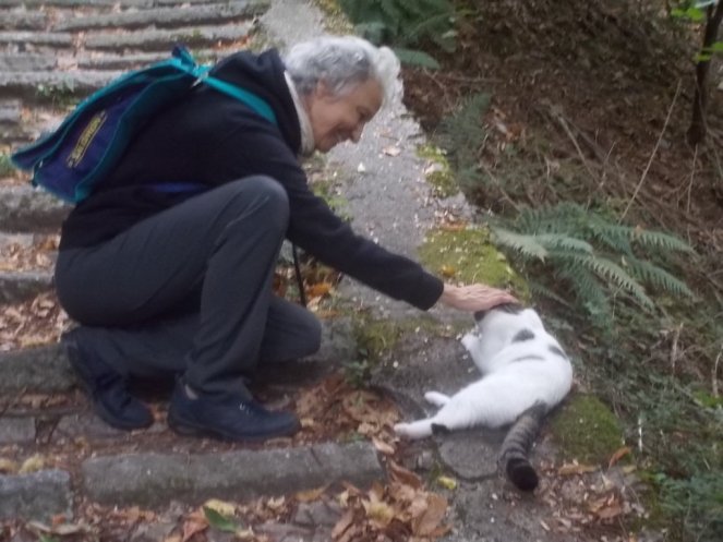 DSCN0929 (FILEminimizer)