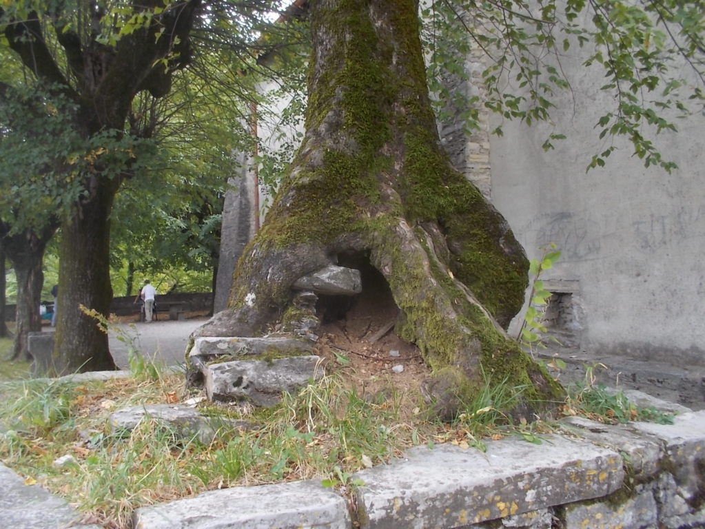 DSCN0934 (FILEminimizer)